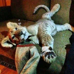 Meet your Posher, Ana