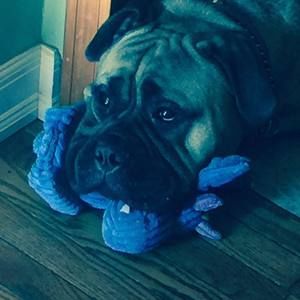 Meet your Posher, Tracie