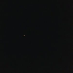 Meet your Posher, Wilbur