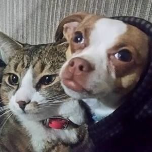 Meet your Posher, Heidi