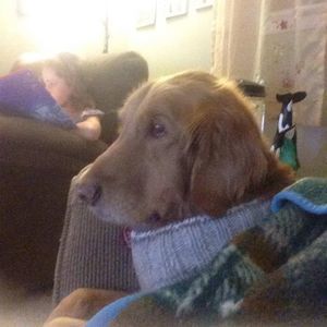 Meet your Posher, Shannon