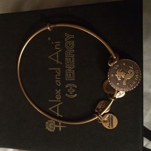 Capricorn Alex and Ani bracelet- gold