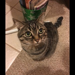 Meet your Posher, Allie