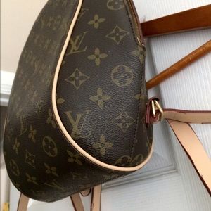 Backpack looks like Louis Vuitton (may not be)
