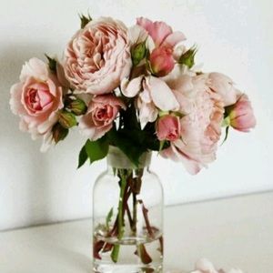 ⚡️EASTER SALE⚡️