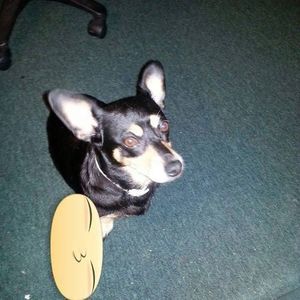 Meet your Posher, Judith