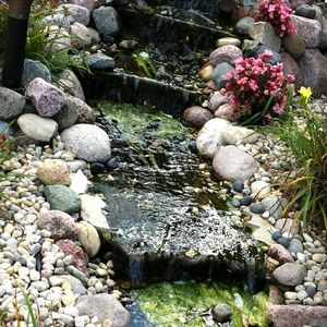 Meet your Posher, Vannessa