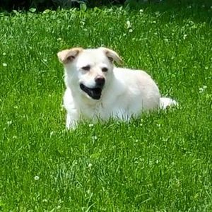 Meet your Posher, Fran