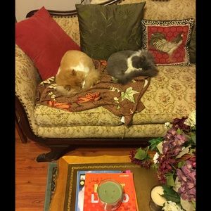 Meet your Posher, Donna