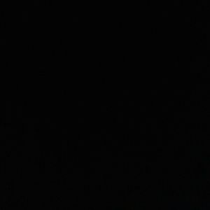 Meet your Posher, Willie