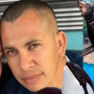 Meet your Posher, Henry