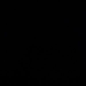 Meet your Posher, Juanita