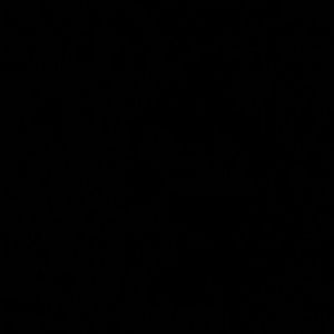 Meet your Posher, Toni