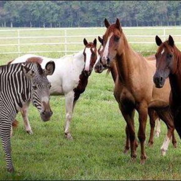 Meet your Posher, Kristel