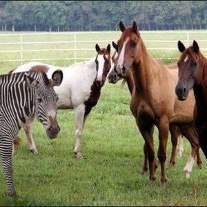 Meet your Posher, Kristel