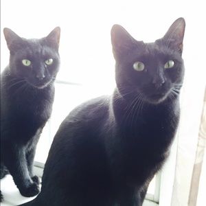 Meet your Posher, Alex