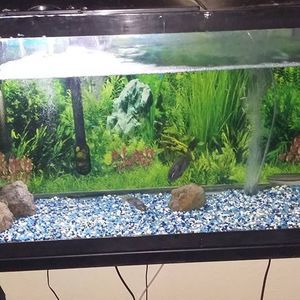 Meet your Posher, Skipper