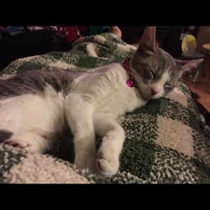 Meet your Posher, Amber