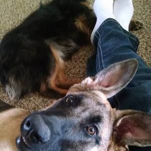 Meet your Posher, Leslie