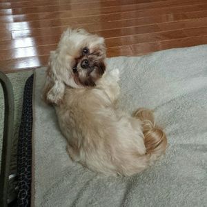 Meet your Posher, Beth