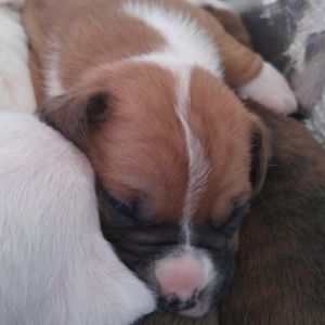 Meet your Posher, Renee contreras