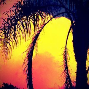 Meet your Posher, Teri