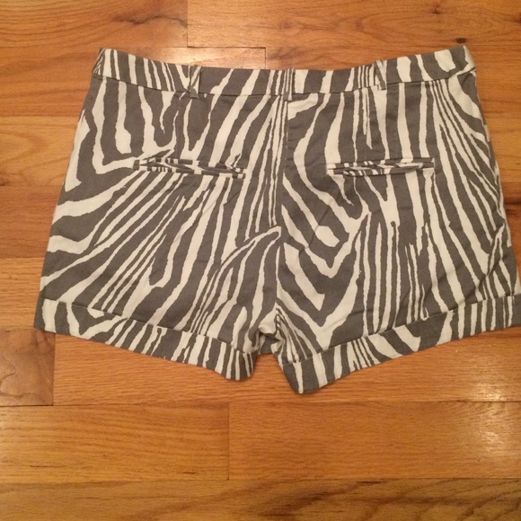 Zebra shorts - Picture 2 of 2
