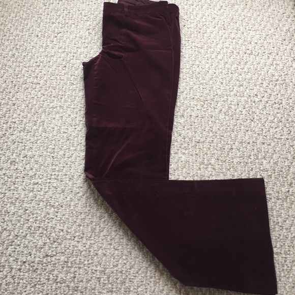 Limited velvet pants, beautiful wine color