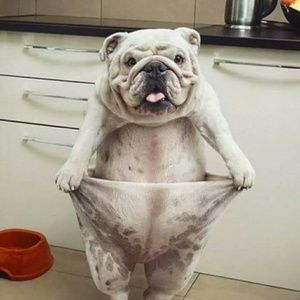 Meet your Posher, Melinda