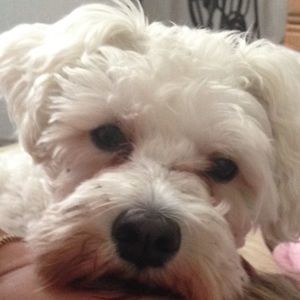 Meet your Posher, Melissa cacynda