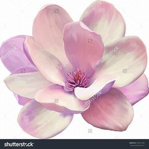 Meet your Posher, Dean