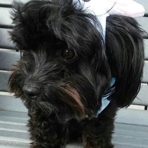 Meet your Posher, Yolanda