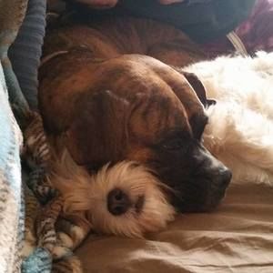 Meet your Posher, Jean barga