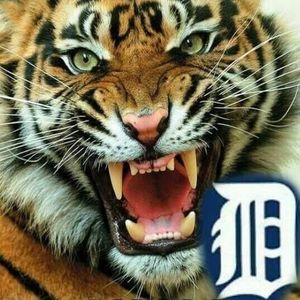 Meet your Posher, Dottie