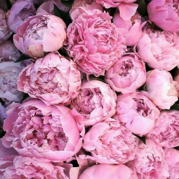 Meet your Posher, Nicole - Picture 1 of 1