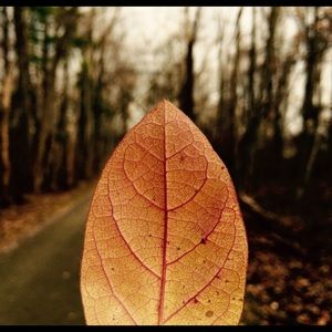 Meet your Posher, Manya