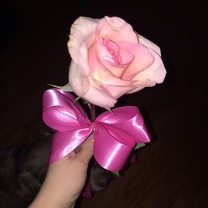 Meet your Posher, Meg