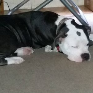 Meet your Posher, Peggy