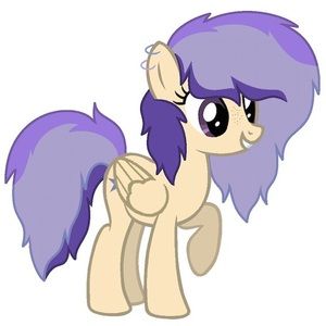 Meet your Posher, Dora