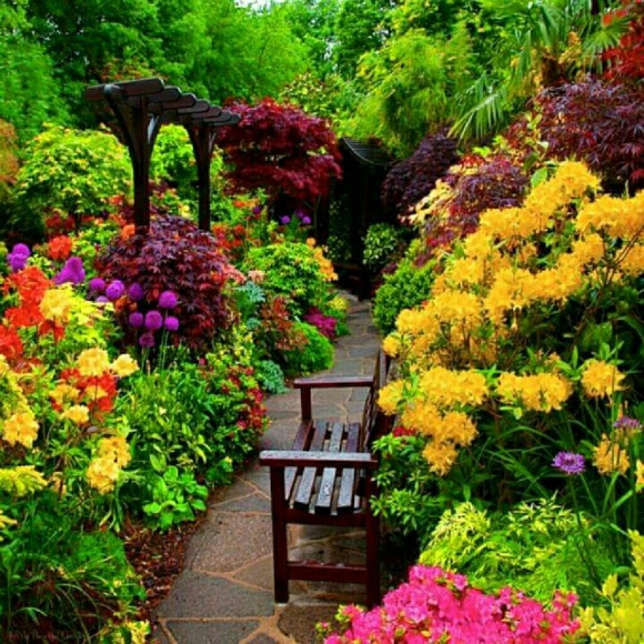 Meet your Posher, Randy - Picture 1 of 1