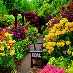 Meet your Posher, Randy