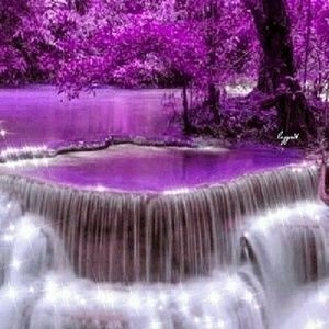 Meet your Posher, Gloria