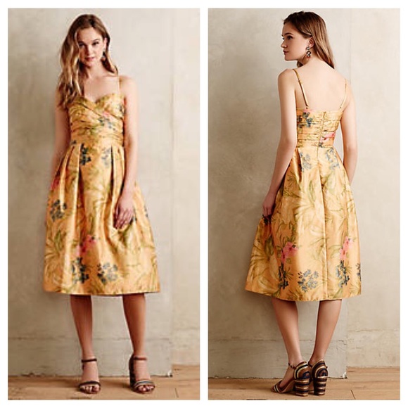 select ladies dresses