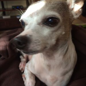 Meet your Posher, Laura