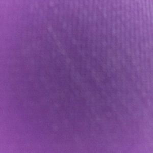 Meet your Posher, Daria