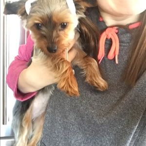 Meet your Posher, Kenzie