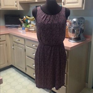 Ann Taylor Loft Dress