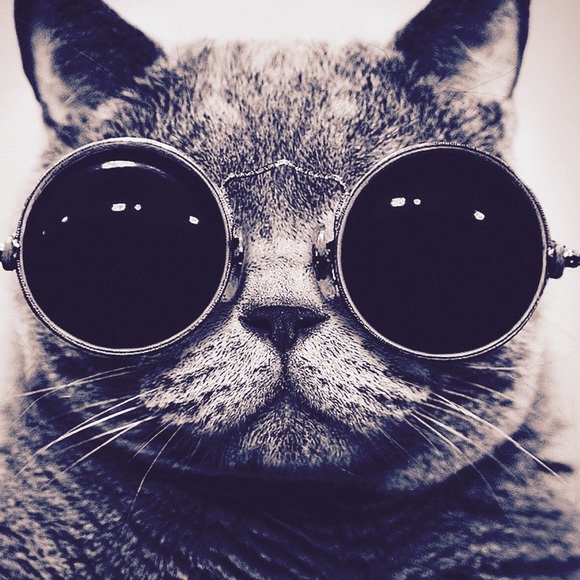 Meet your Posher, Alice - Picture 1 of 1