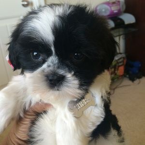 Meet your Posher, Katrina