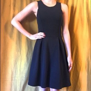 Timeless LBD Fit and Flare